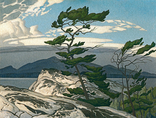 White Pine - Giclee Reproduction - A.J. Casson