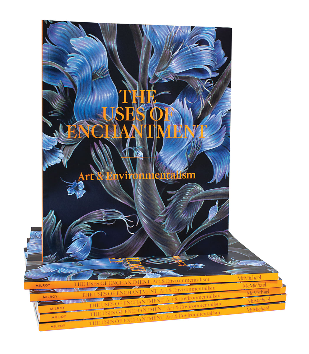 Uses of Enchantment: Art & Environmentalism