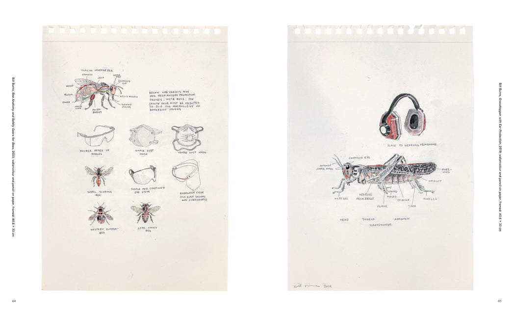 Uses of Enchantment: Art & Environmentalism