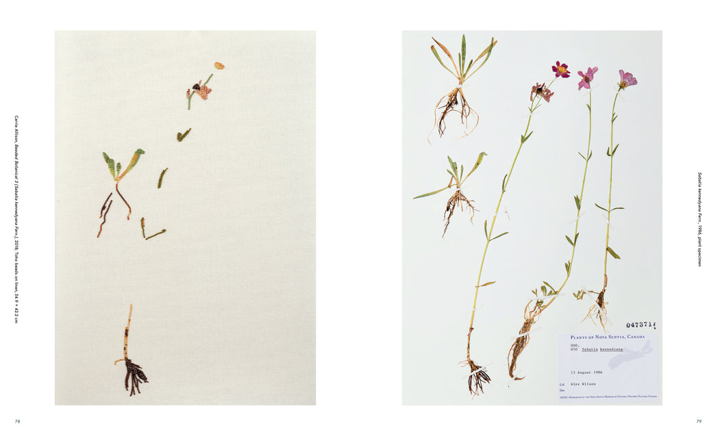 Uses of Enchantment: Art & Environmentalism