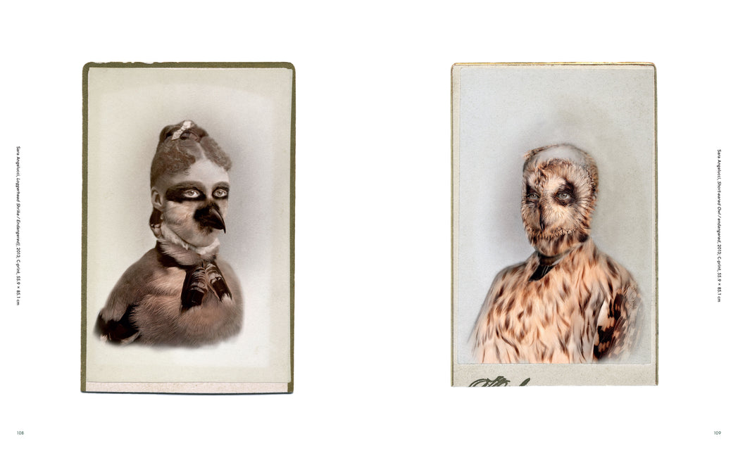 Uses of Enchantment: Art & Environmentalism