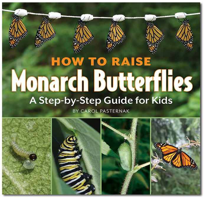 How to Raise Monarch Butterflies