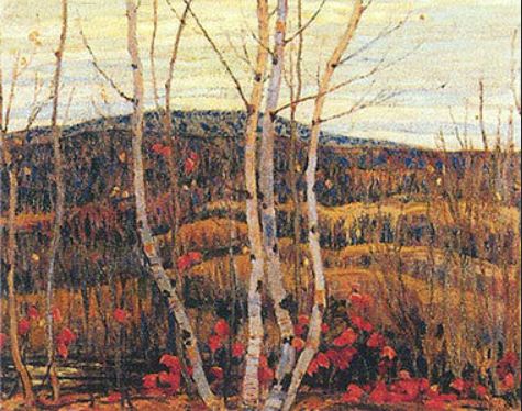 Maple and Birches - Large Reproduction