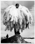 Richard Harrington: Arctic Photography 1948-53