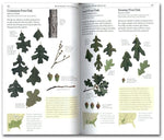 The Sibley Guide to Trees