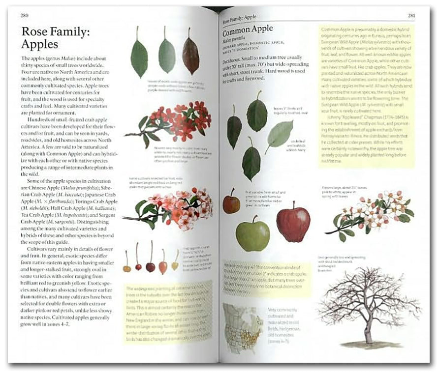 The Sibley Guide to Trees