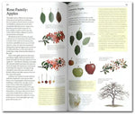 The Sibley Guide to Trees