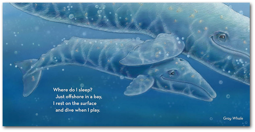 Where Do I Sleep?: A Nature Lullaby