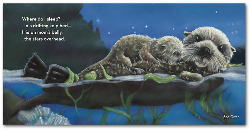 Where Do I Sleep?: A Nature Lullaby