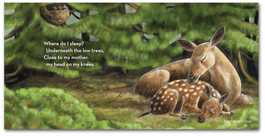 Where Do I Sleep?: A Nature Lullaby