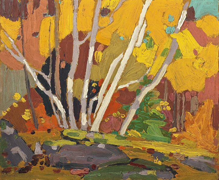 Autumn Birches - Large Reproduction - Tom Thomson